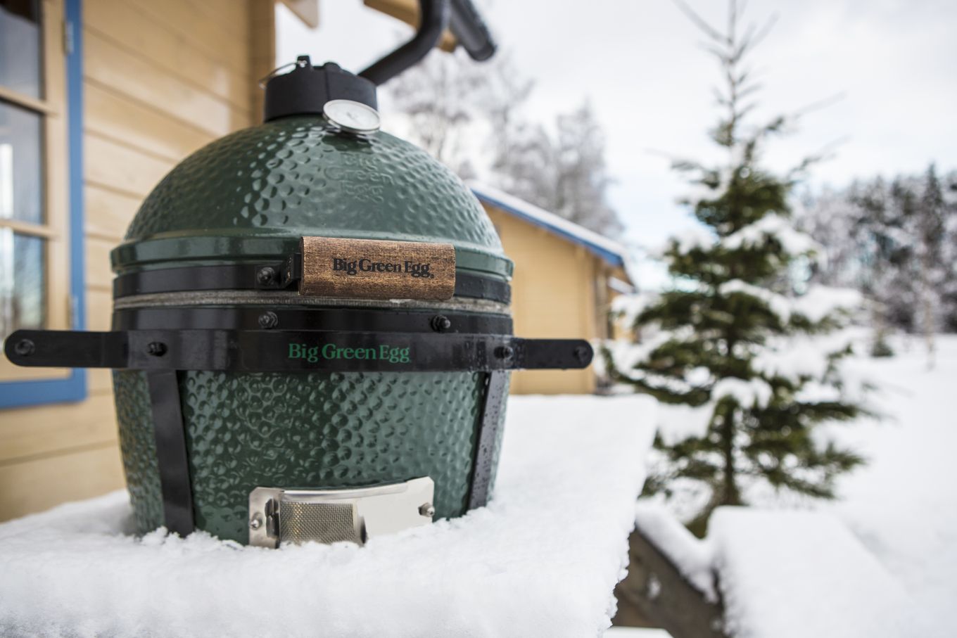 Big Green Egg miniMax